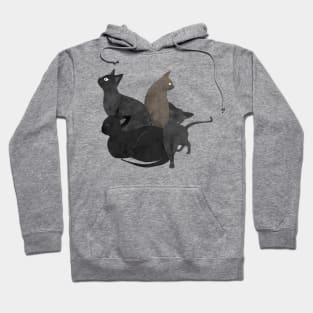 Gang of cats Hoodie